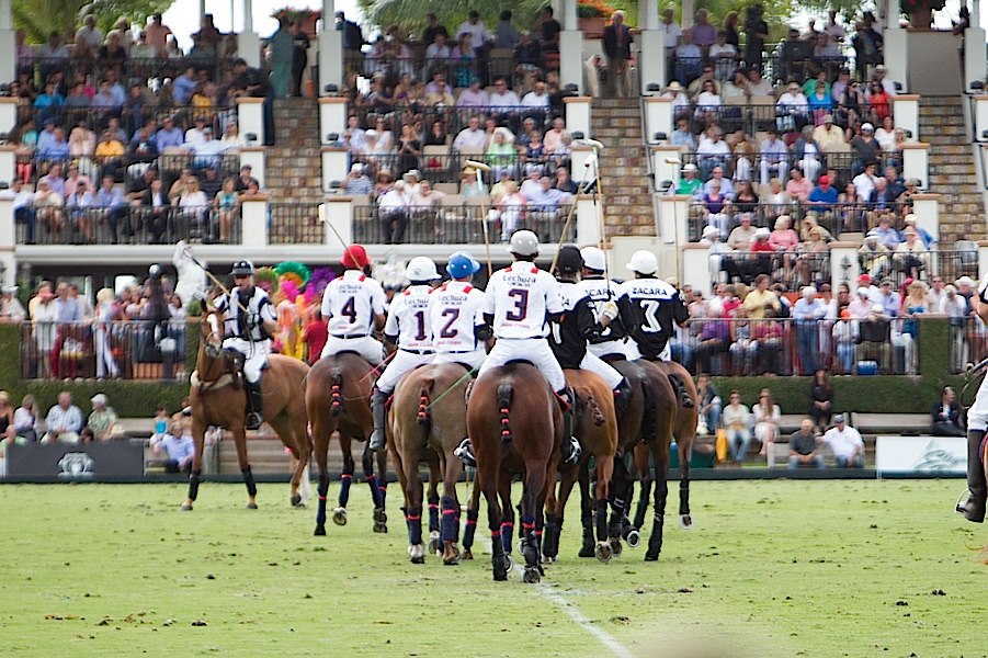 International Polo Club | Place - Game and Sport